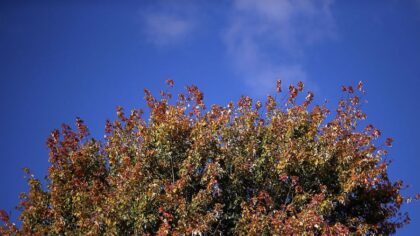 Enjoy the last of summer in western Washington as fall weather trickles in
