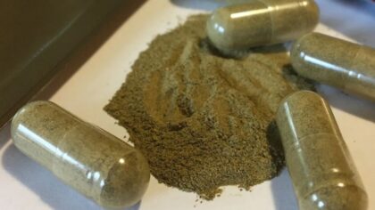 'Anybody can buy it': Jake and Spike warn of 'legal morphine' Kratom products