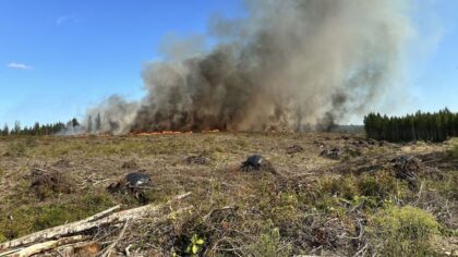 Despite weekend rain, Washington's wildfire season persists