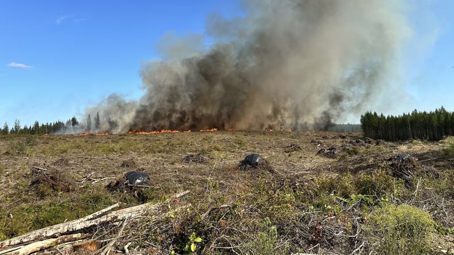 Mason County washington wildfire...