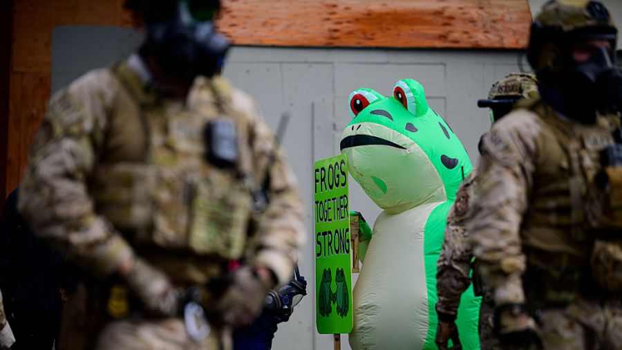 National Guard (2)...