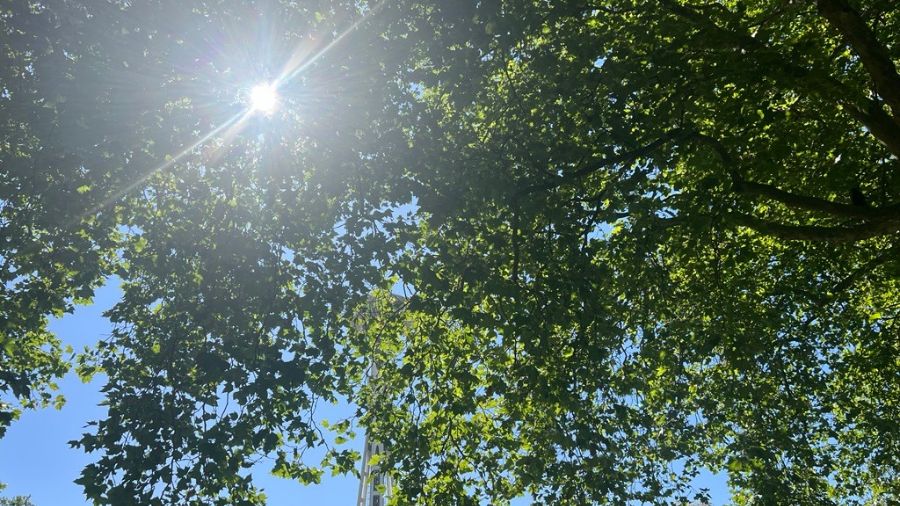 Sunny seattle fall storm...