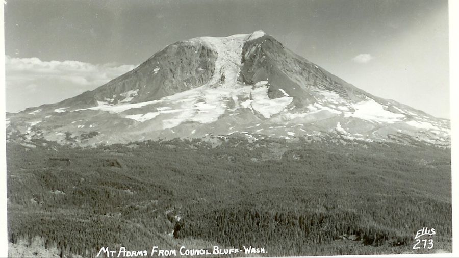 mount adams...