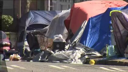 Tacoma expands camping ban to parks, playgrounds, libraries