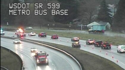 Pedestrian dies in crash on NB 599 and East Marginal Way