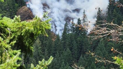 Large fire on Olympic Peninsula rages on as dry conditions fuel spread