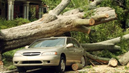 10 years later: Remembering the deadly August windstorm that stunned western WA