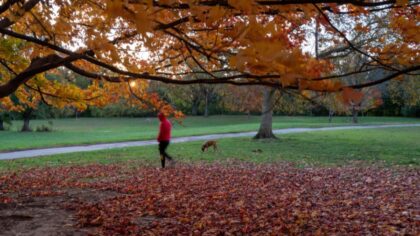 Sept. 1 marks start of Meteorological Fall in WA