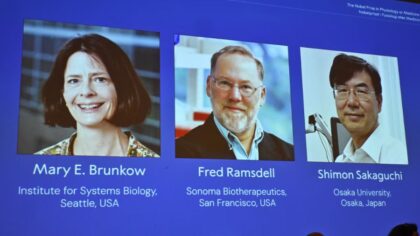 Seattle scientist Mary Brunkow wins Nobel Prize for immune system research