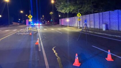 Person injured, dog killed in Olympia hit-and-run