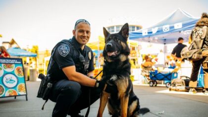 'Good boy' Gambit: K9 aids arrest after reckless-driving stop in Kent