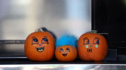 Teens caught on camera destroying Halloween decorations across Auburn