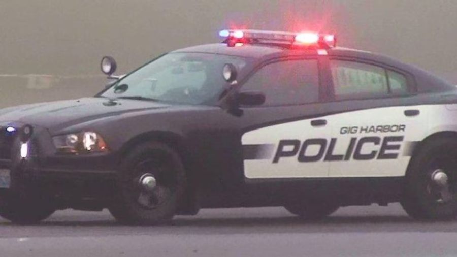 Gig Harbor egg teens...