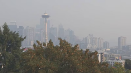 Wildfire smoke exposure may affect fertility, study finds